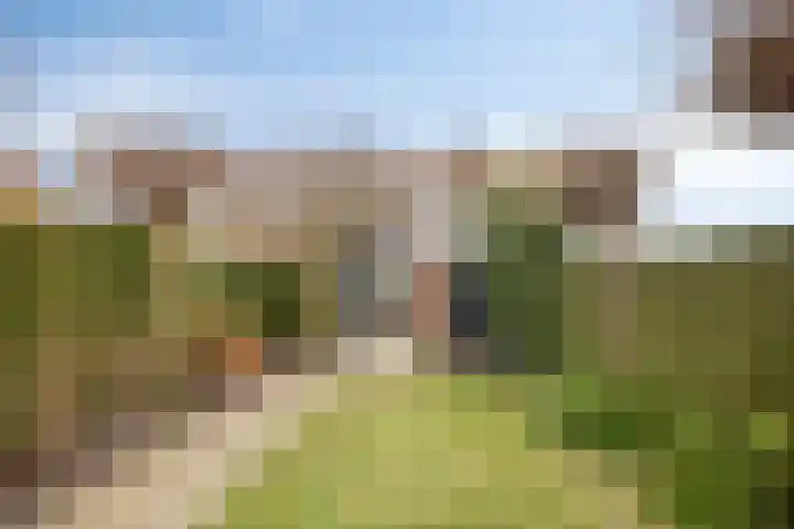 Bandoengstraat 22 Hengelo thumbnail 35