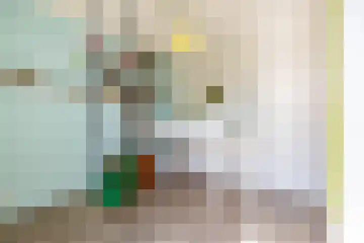 Bandoengstraat 25 Groningen thumbnail 26