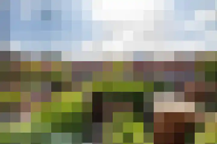 Bandoengstraat 25 Groningen thumbnail 27