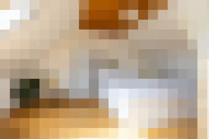 Bandoengstraat 25 Groningen thumbnail 33