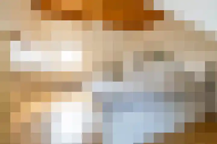 Bandoengstraat 25 Groningen thumbnail 34