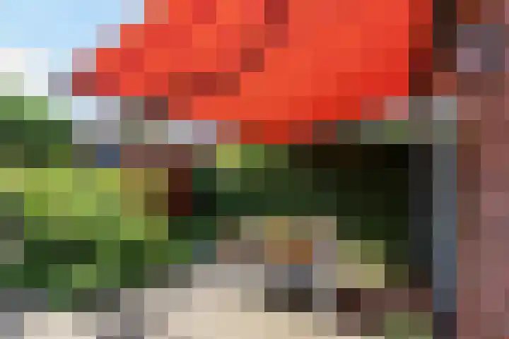 Bandoengstraat 25 Groningen thumbnail 39