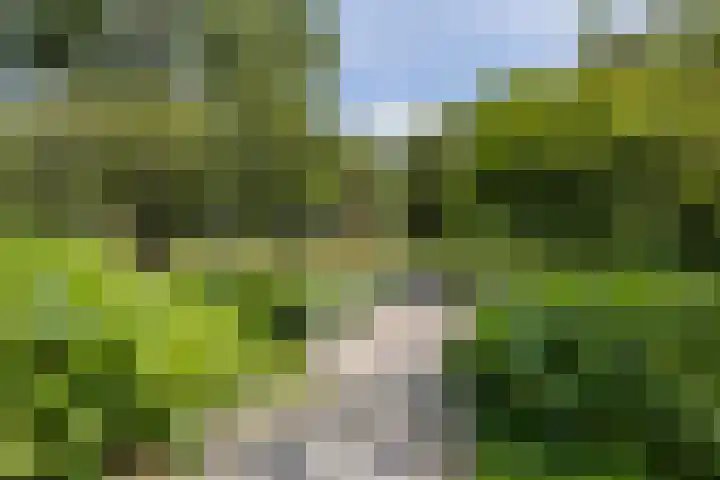 Bandoengstraat 25 Groningen thumbnail 43