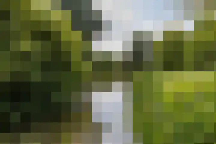 Bandoengstraat 25 Groningen thumbnail 44