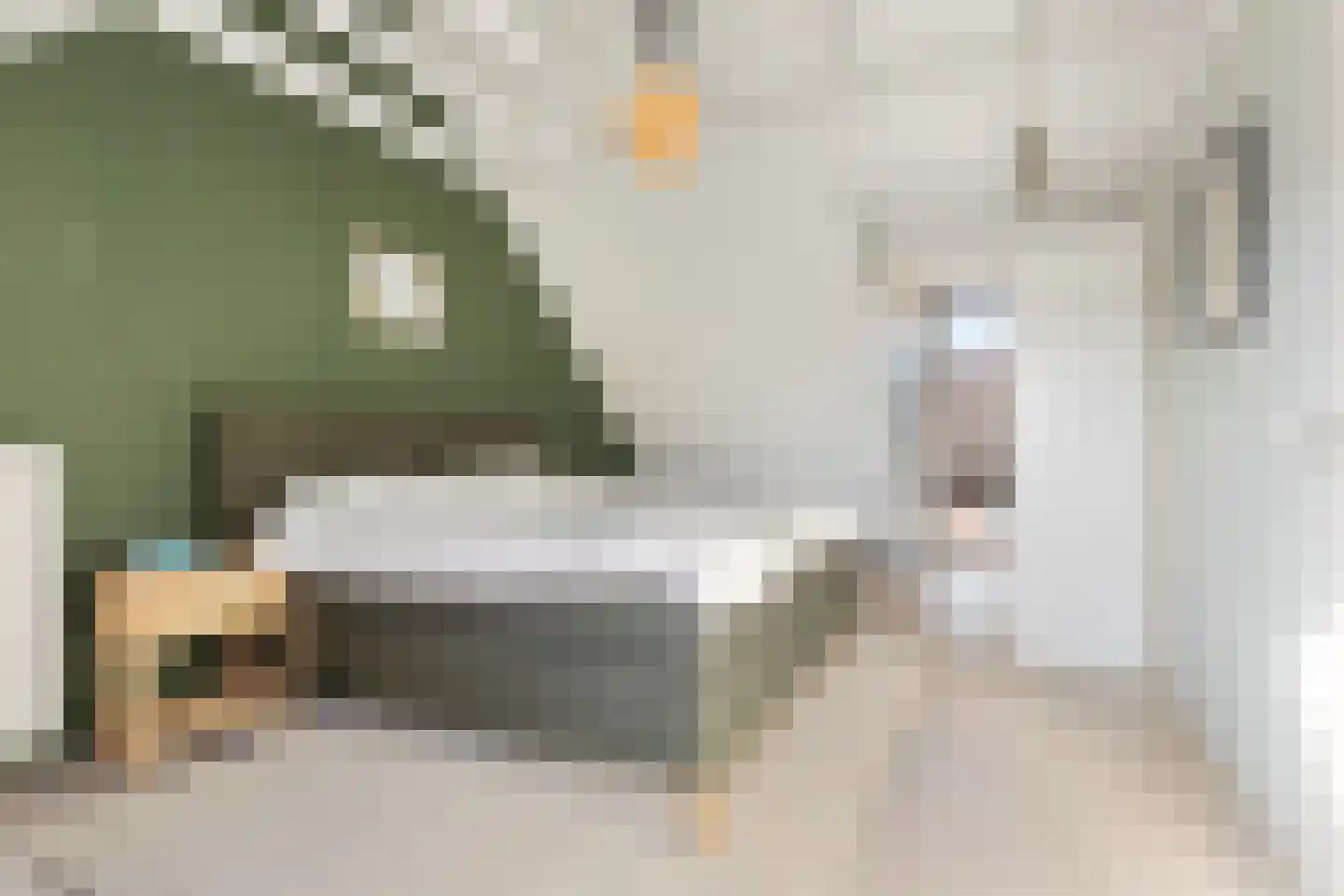 Bandoengstraat 29 Groningen thumbnail 29