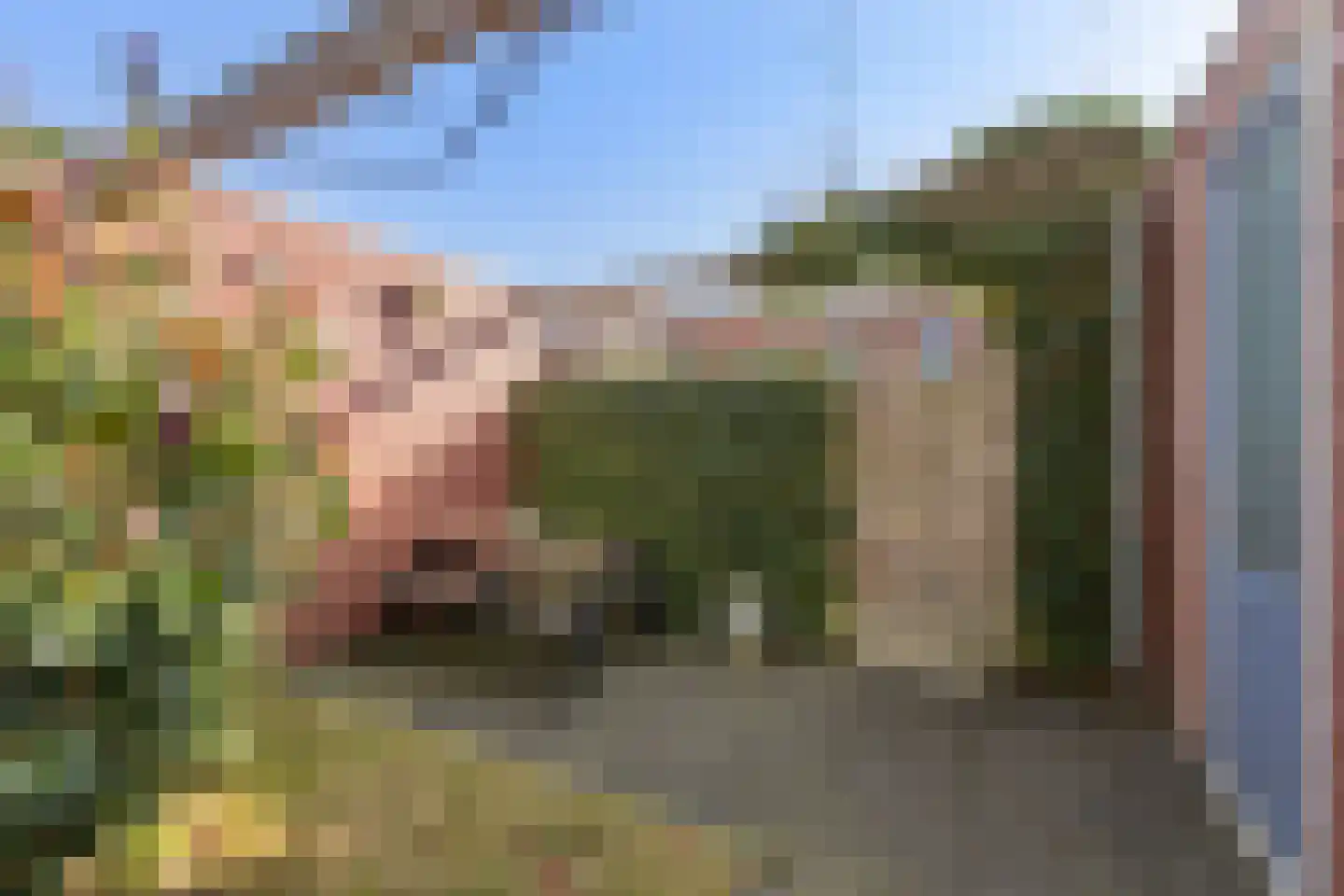 Bandoengstraat 29 Groningen thumbnail 31