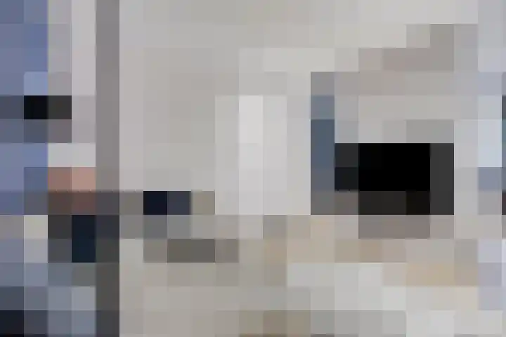 Bandoengstraat 37 Nijmegen thumbnail 27