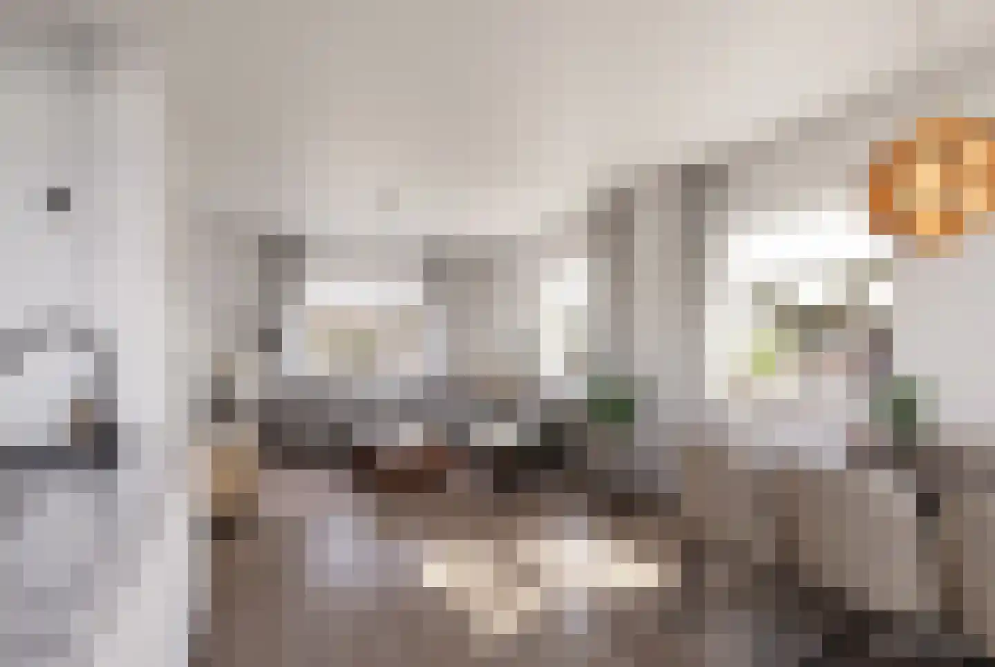 Bandoengstraat 39 Utrecht thumbnail 14