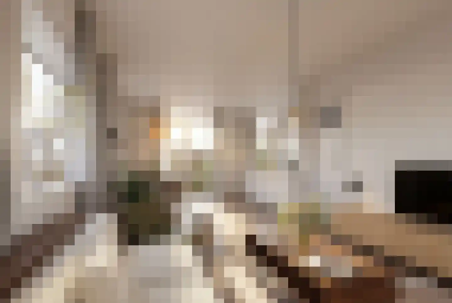 Bandoengstraat 39 Utrecht thumbnail 5