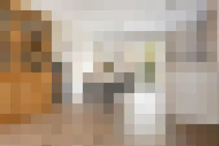 Bandoengstraat 4 a Groningen thumbnail 18