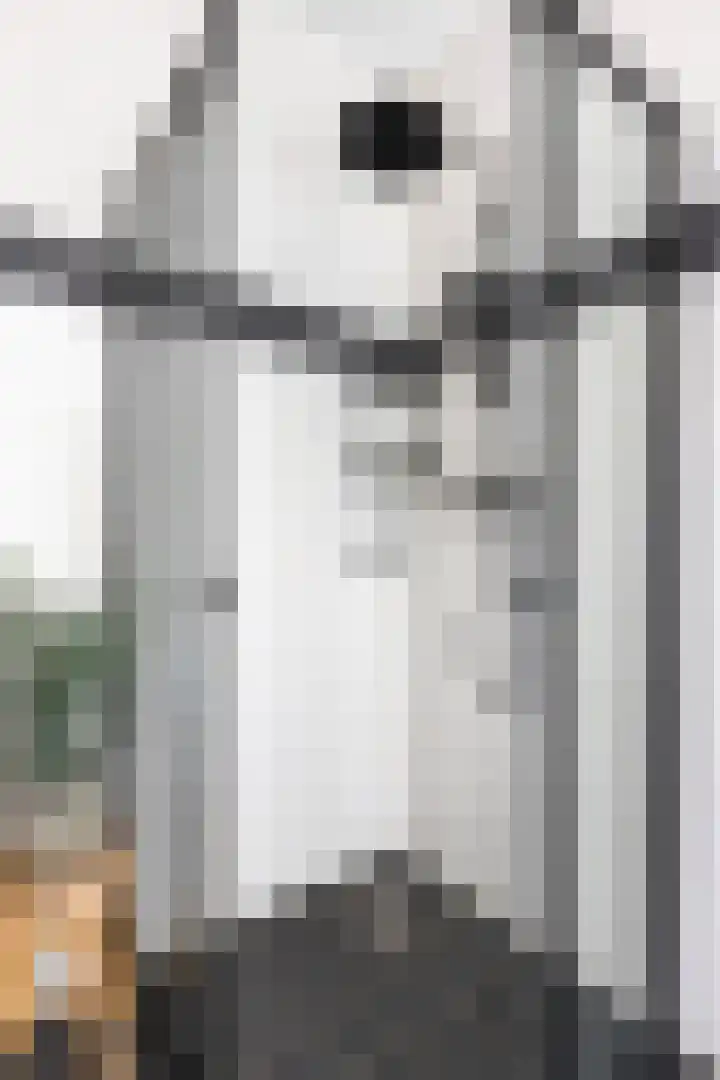 Bandoengstraat 4 a Groningen thumbnail 36