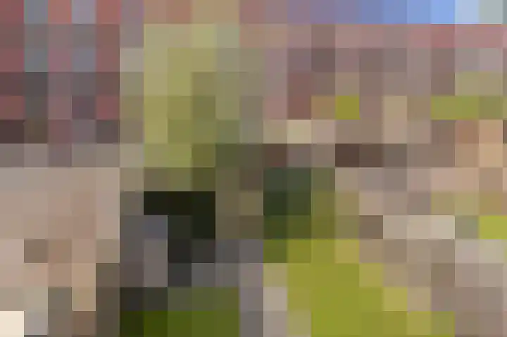 Bandoengstraat 4 a Groningen thumbnail 39