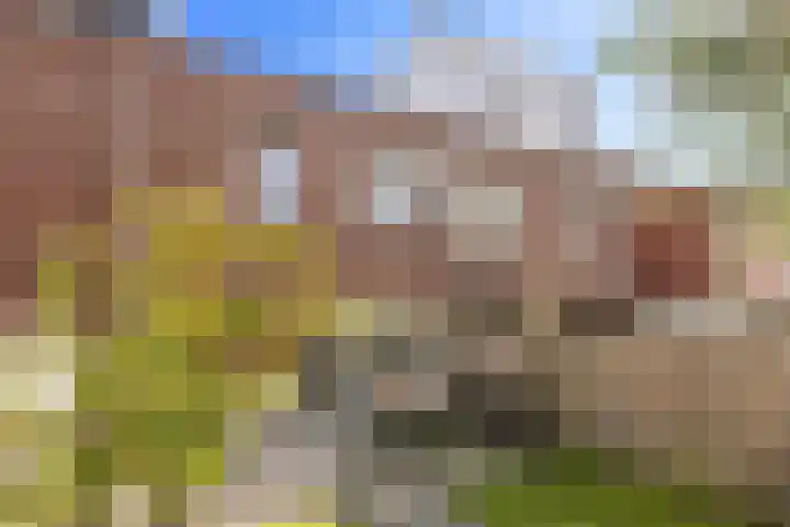 Bandoengstraat 4 a Groningen thumbnail 42