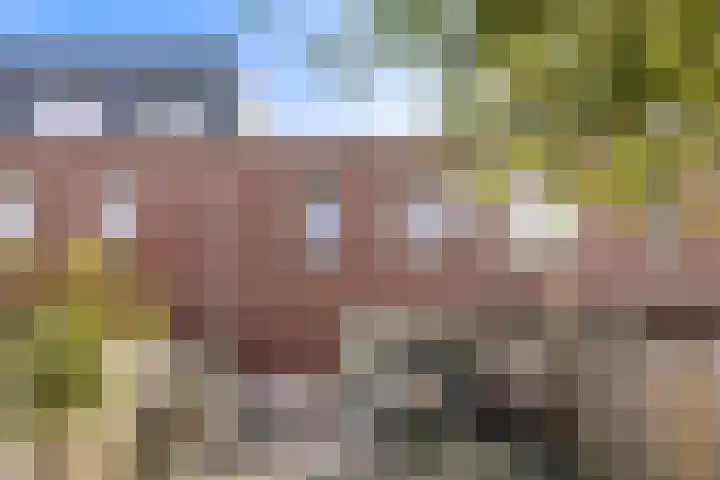 Bandoengstraat 4 a Groningen thumbnail 43