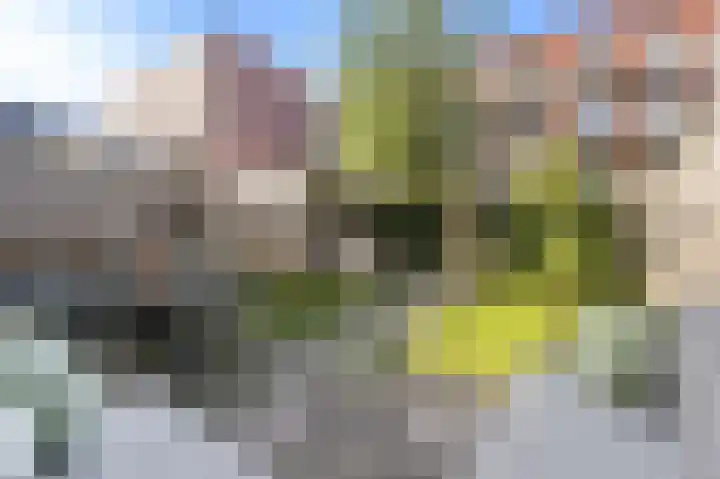 Bandoengstraat 4 a Groningen thumbnail 6