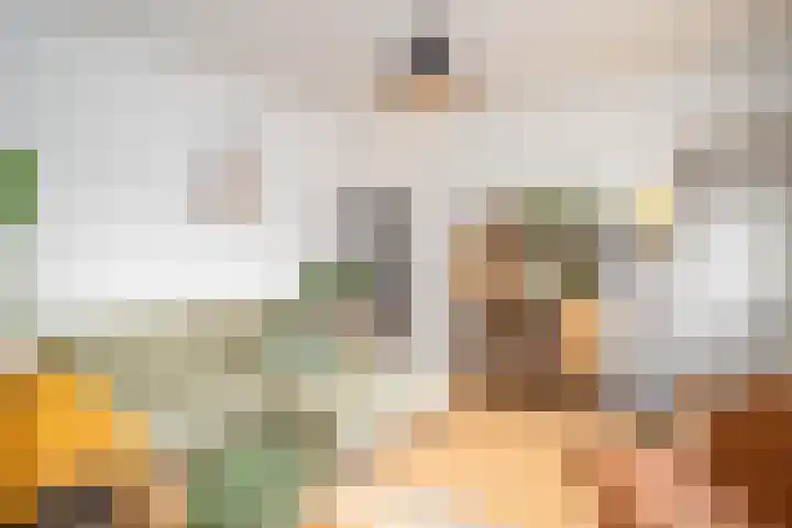 Bandoengstraat 47 Utrecht thumbnail 7