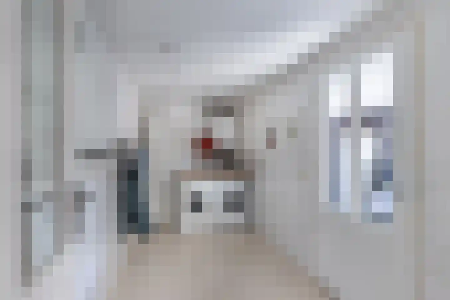 Bandsloot 1 C Bantega thumbnail 21