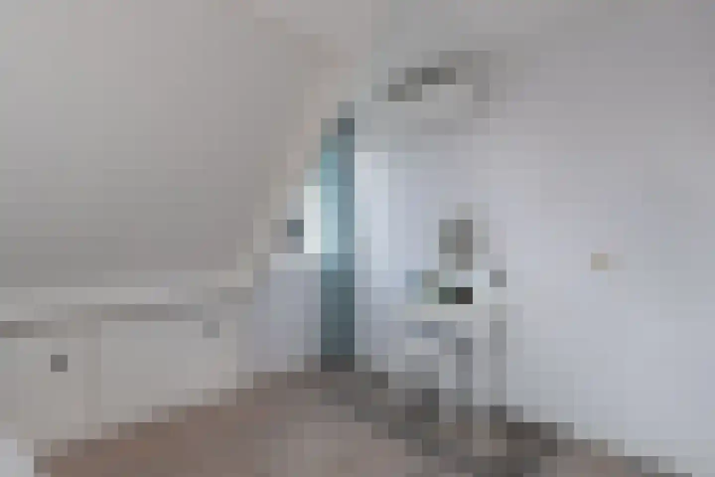 Bandsloot 1 C Bantega thumbnail 28