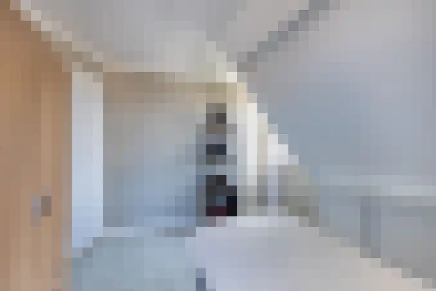 Bandsloot 1 C Bantega thumbnail 30