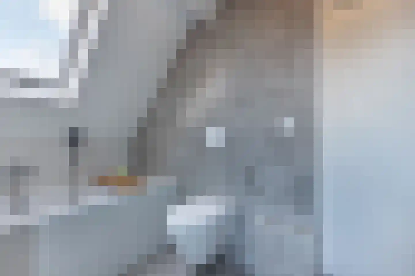 Bandsloot 1 C Bantega thumbnail 35