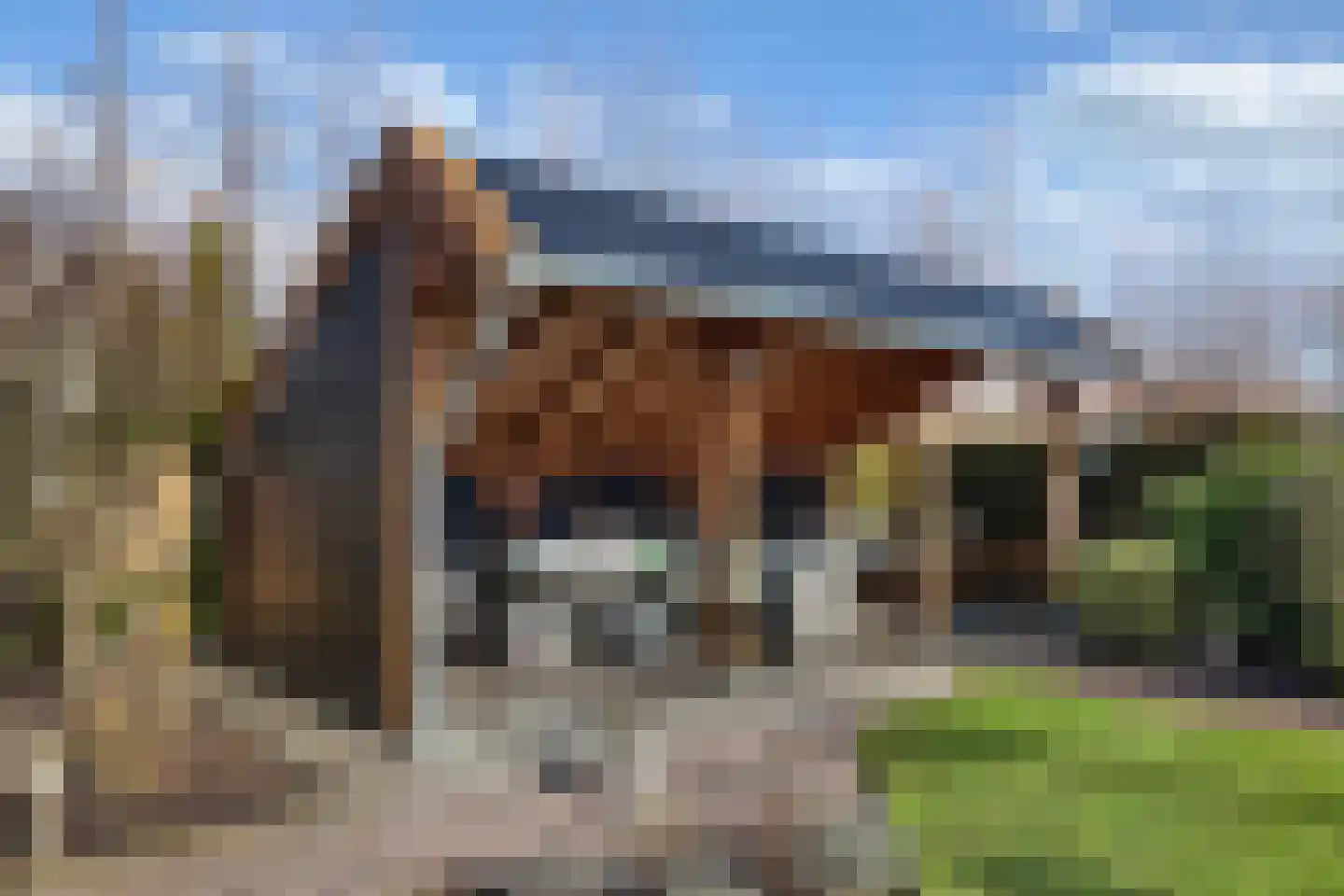 Bandsloot 1 C Bantega thumbnail 42