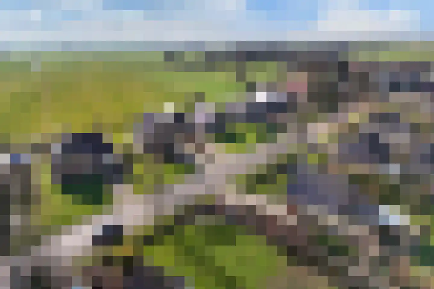 Bandsloot 1 C Bantega thumbnail 47