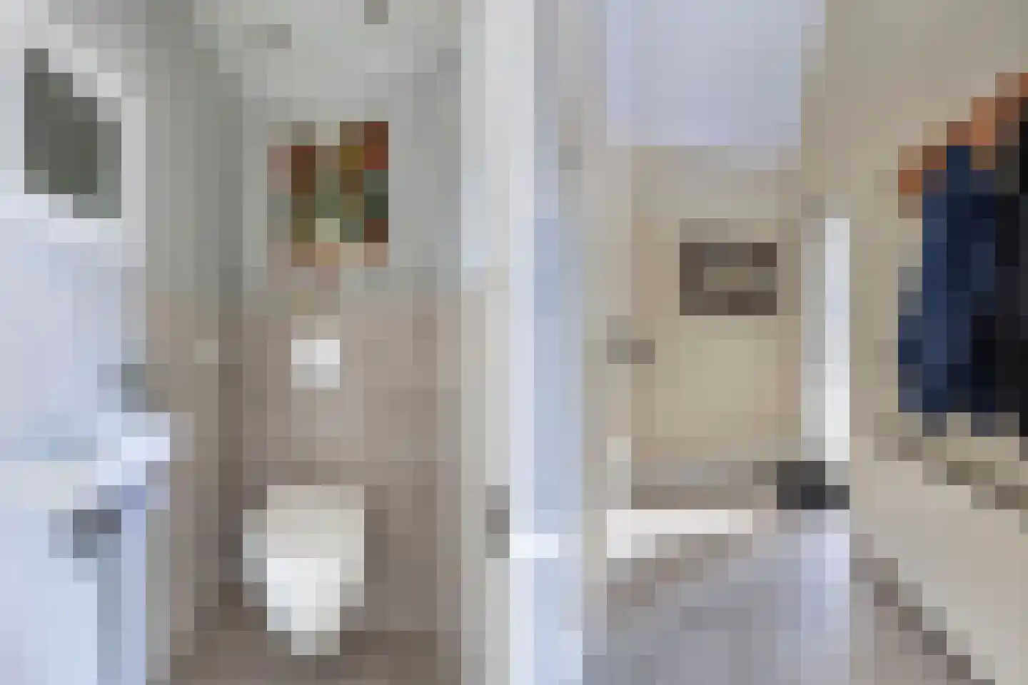Bandsloot 1 C Bantega thumbnail 6