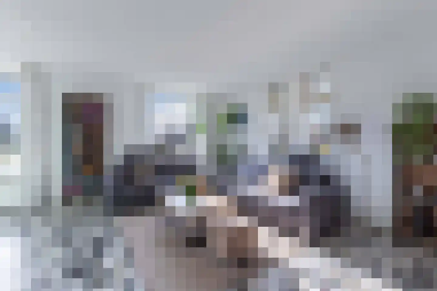 Bandsloot 1 C Bantega thumbnail 7