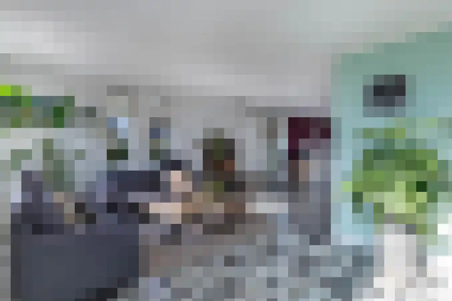 Bandsloot 1 C Bantega thumbnail 9