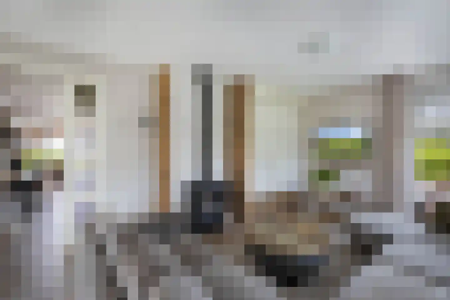 Bandsloot 18 C Bantega thumbnail 11