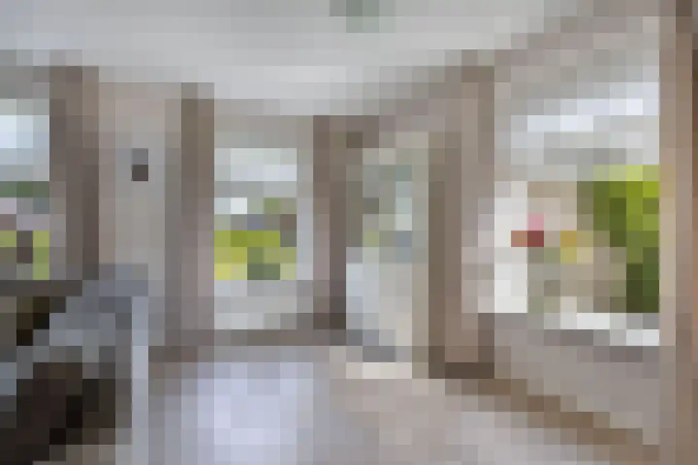 Bandsloot 18 C Bantega thumbnail 13