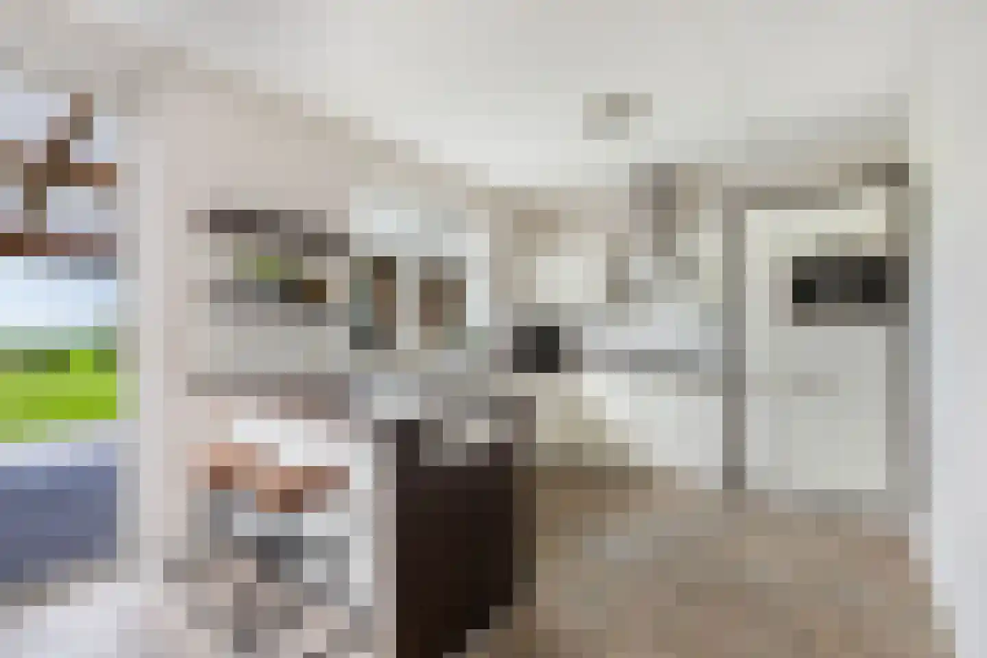 Bandsloot 18 C Bantega thumbnail 16