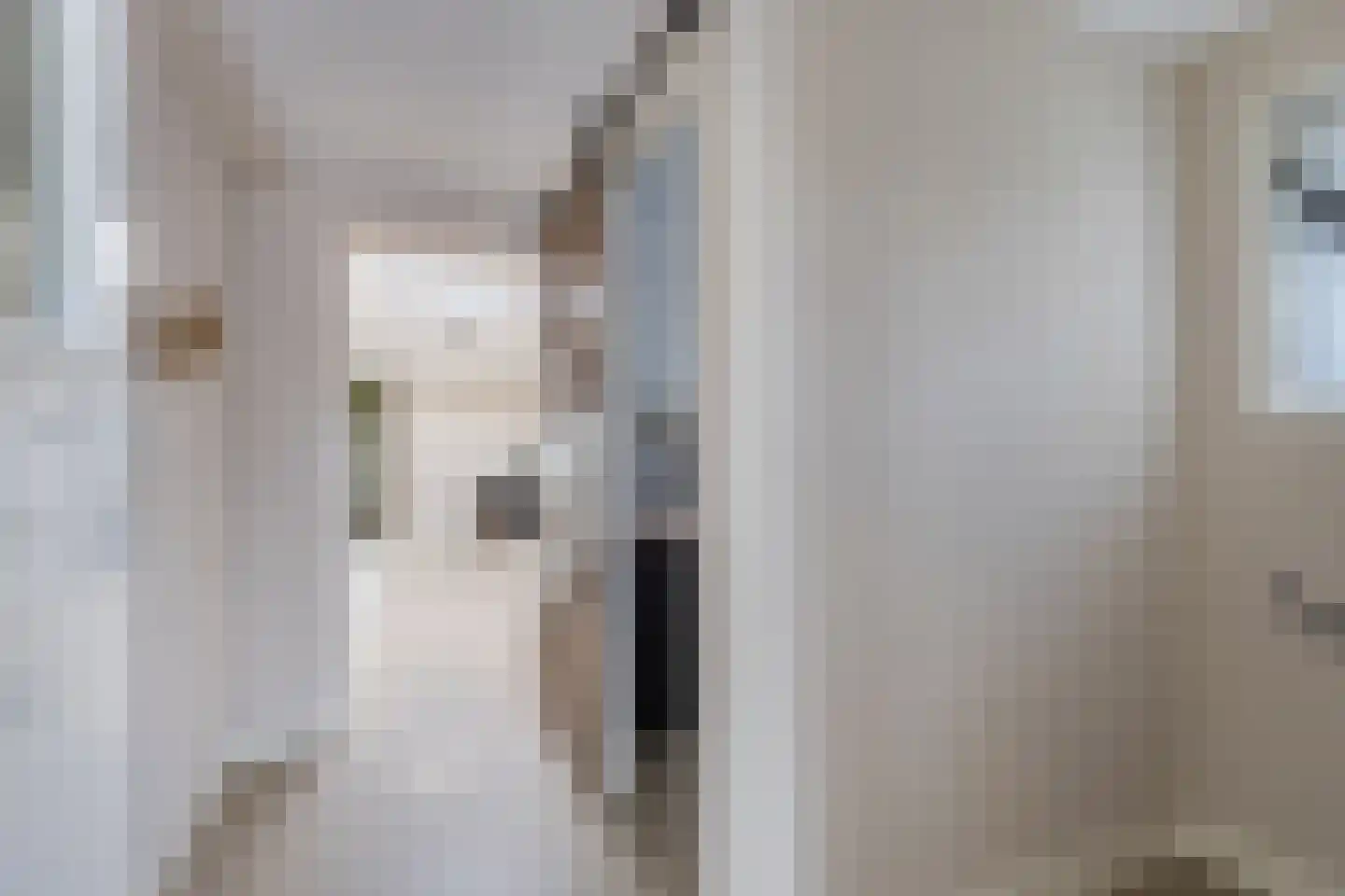 Bandsloot 18 C Bantega thumbnail 23