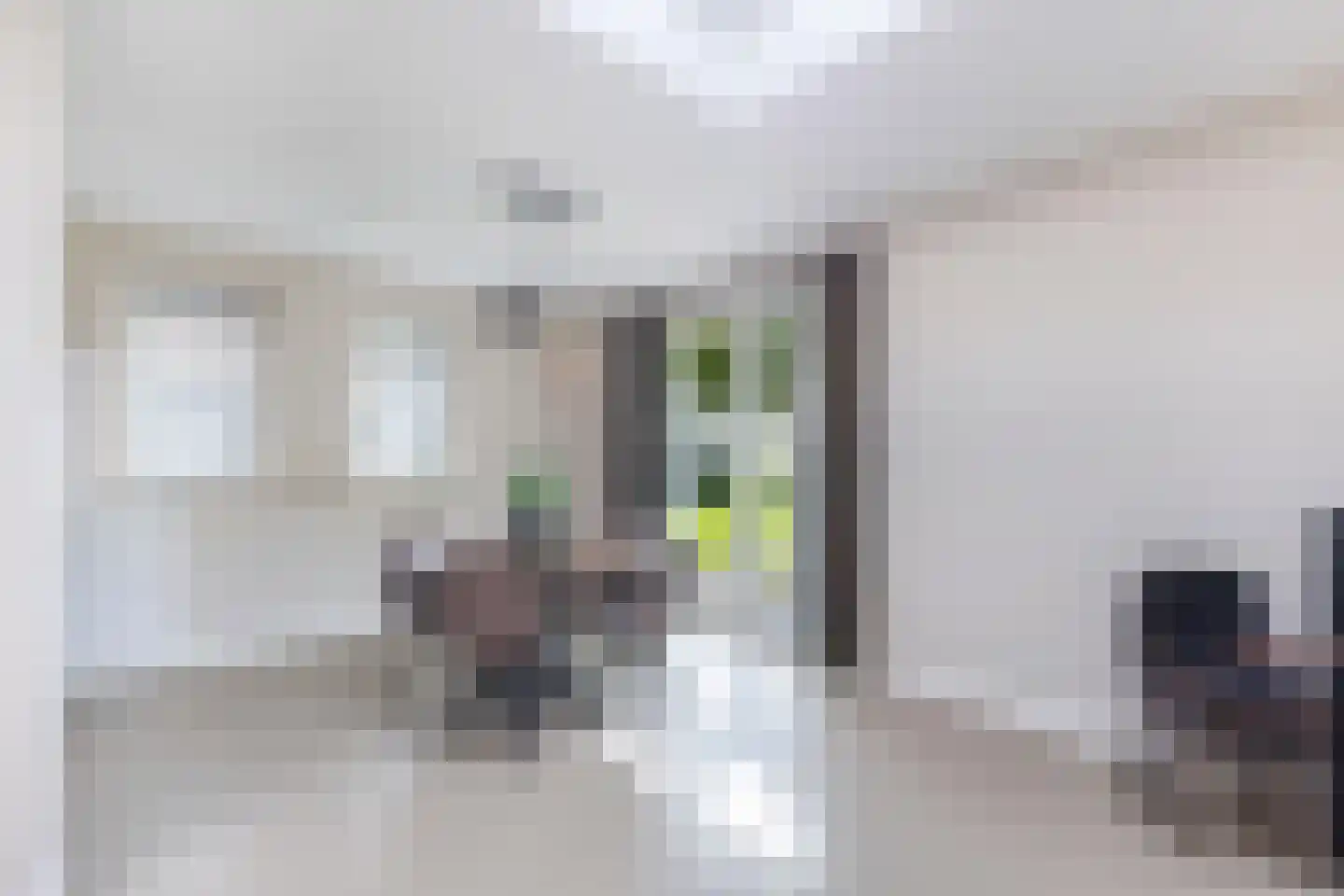 Bandsloot 18 C Bantega thumbnail 25
