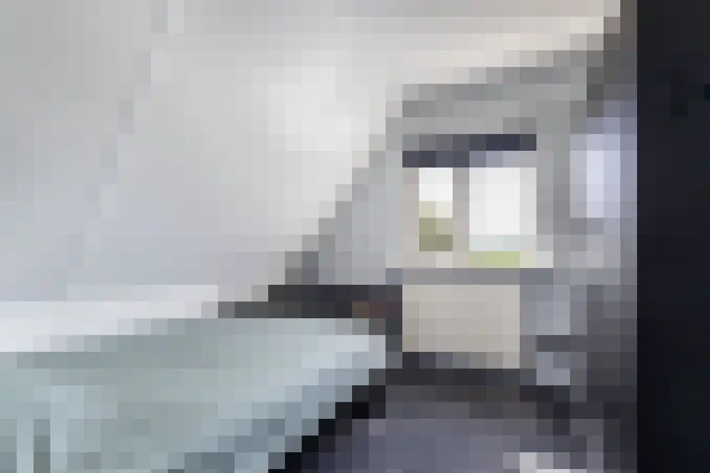 Bandsloot 18 C Bantega thumbnail 34