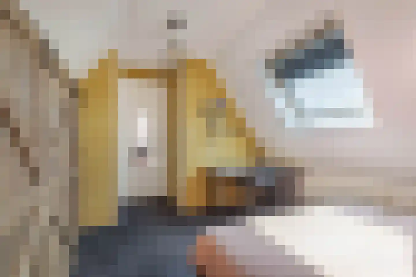 Bandsloot 18 C Bantega thumbnail 38
