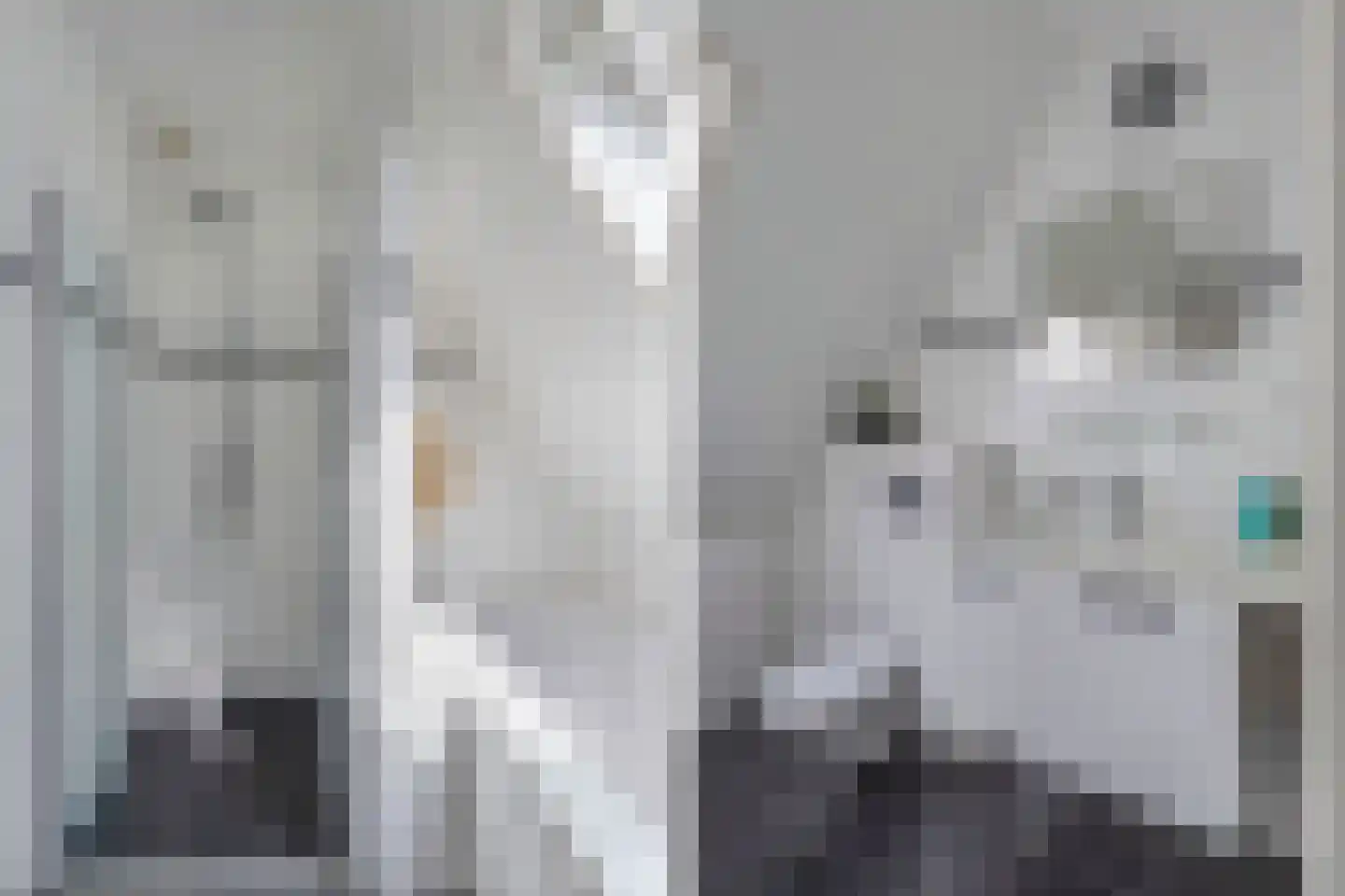 Bandsloot 18 C Bantega thumbnail 41