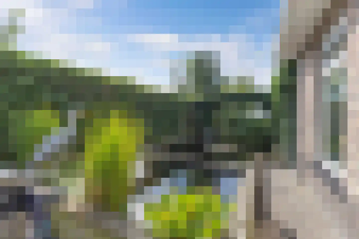 Bandsloot 18 C Bantega thumbnail 45