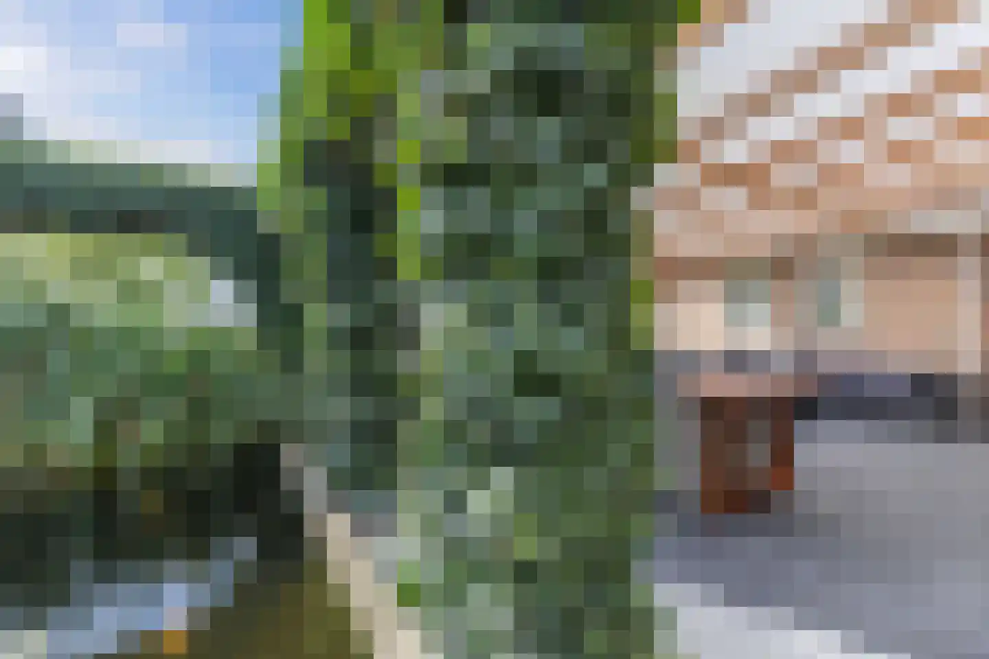 Bandsloot 18 C Bantega thumbnail 46
