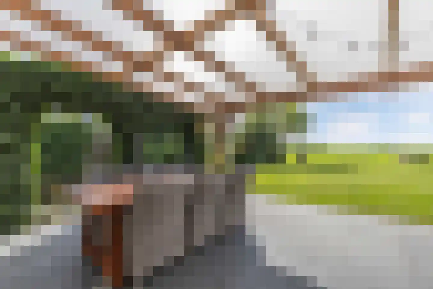 Bandsloot 18 C Bantega thumbnail 48