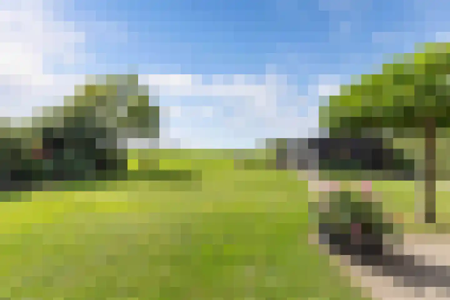 Bandsloot 18 C Bantega thumbnail 52