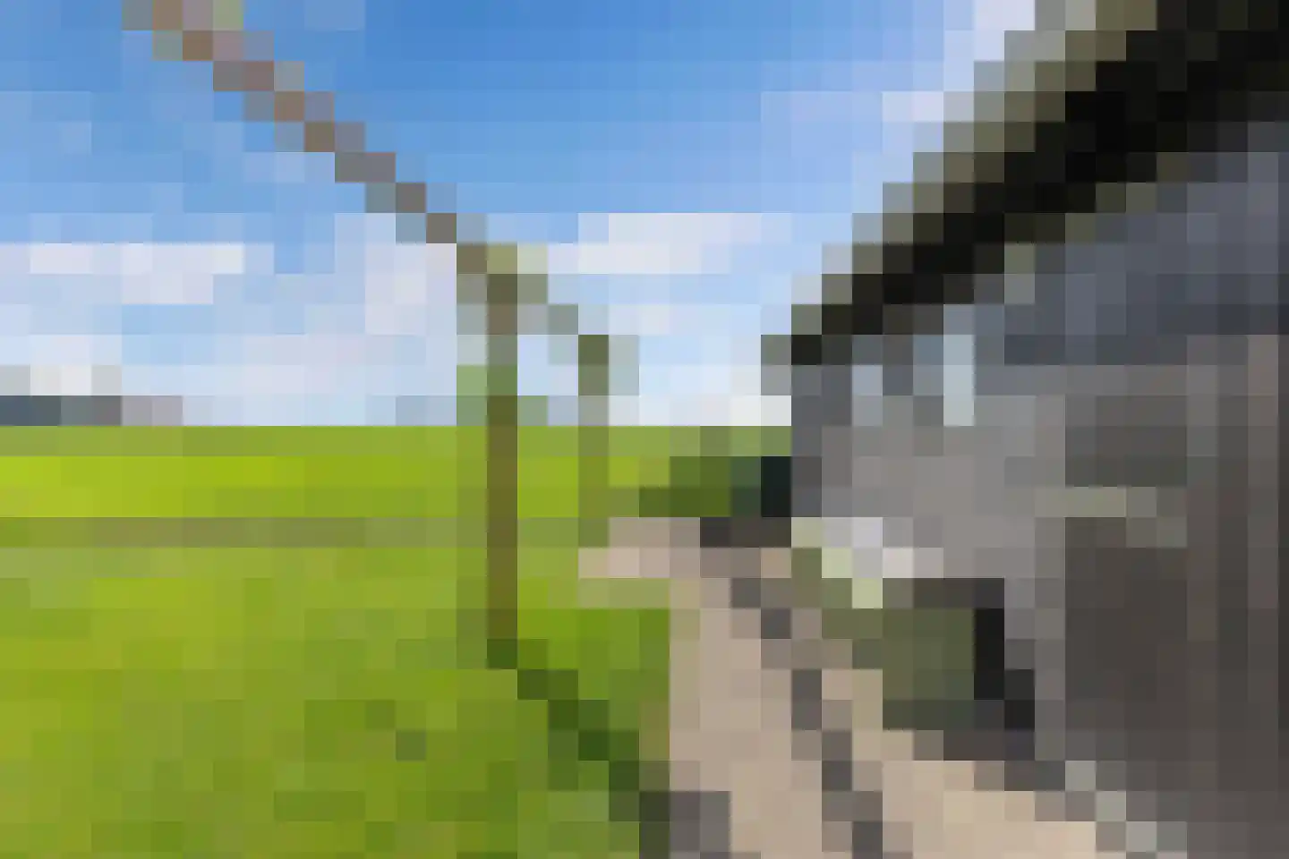 Bandsloot 18 C Bantega thumbnail 61
