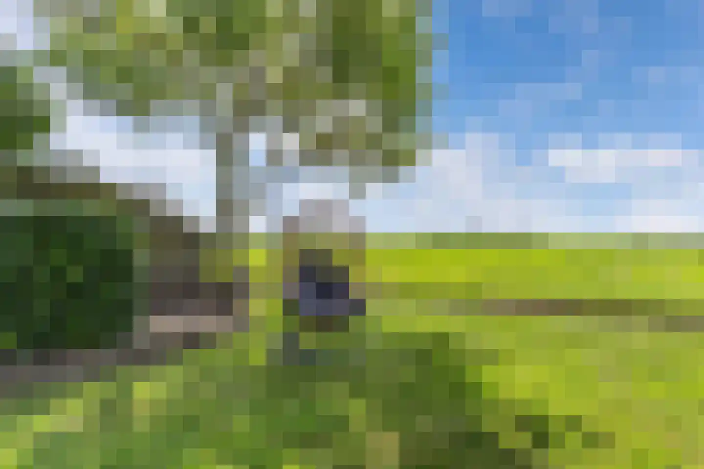 Bandsloot 18 C Bantega thumbnail 62