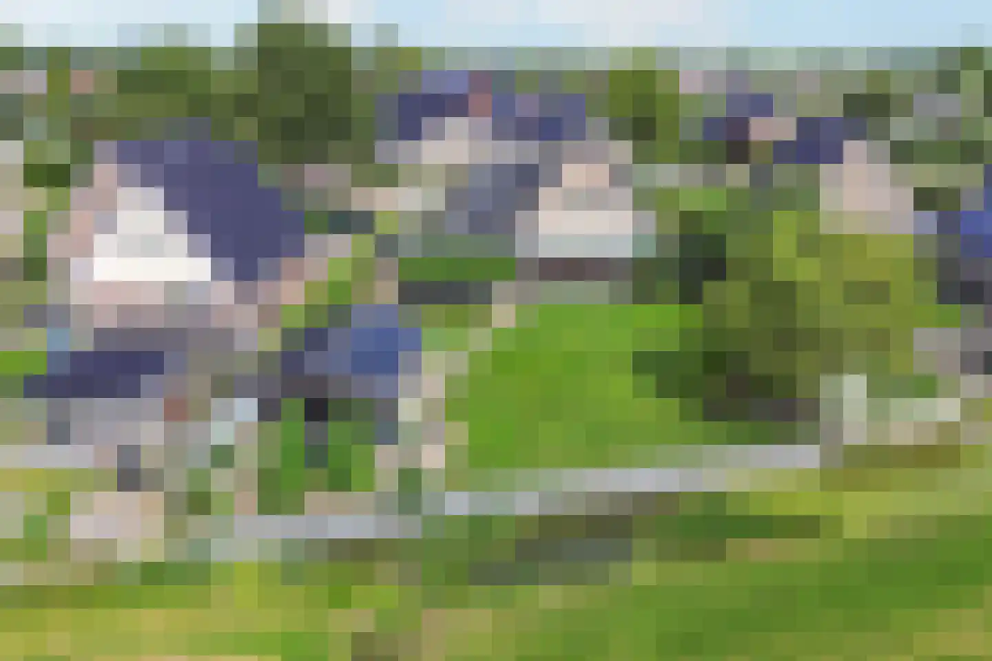 Bandsloot 18 C Bantega thumbnail 69