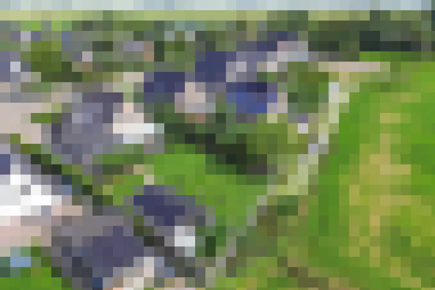 Bandsloot 18 C Bantega thumbnail 70