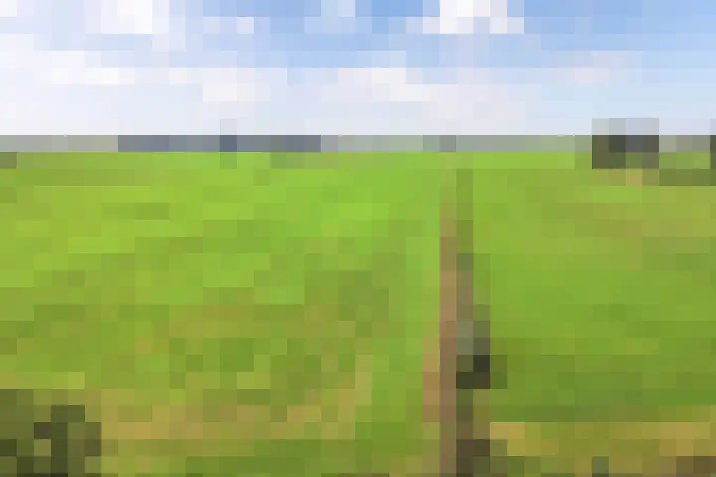 Bandsloot 18 C Bantega thumbnail 72