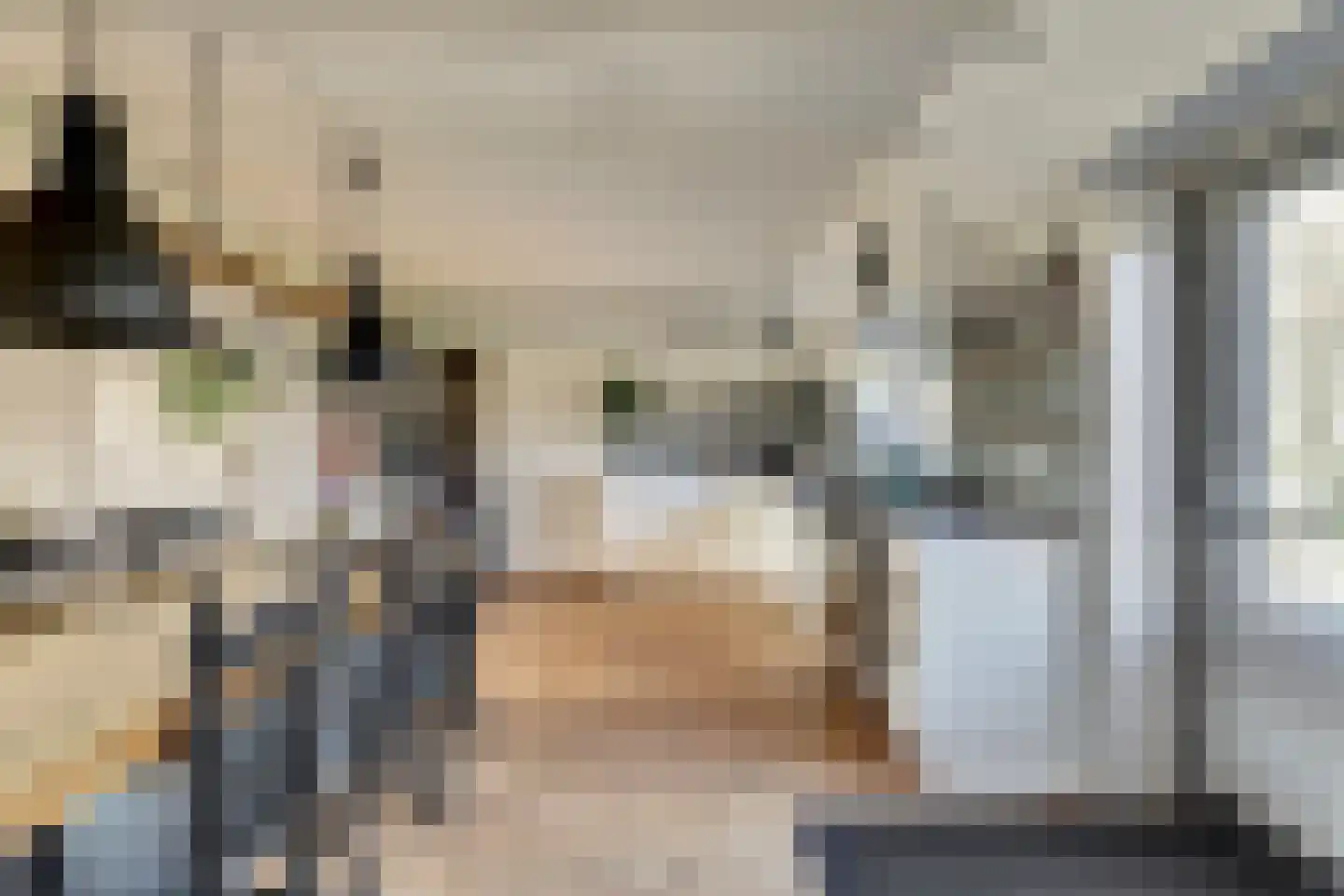 Bandsloot 25 Bantega thumbnail 20