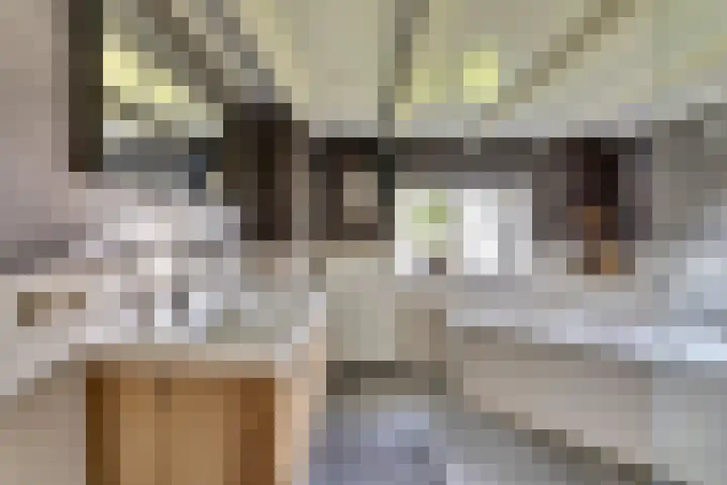 Bandsloot 25 Bantega thumbnail 24