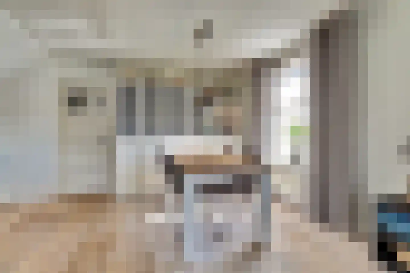 Bandsloot 25 Bantega thumbnail 29