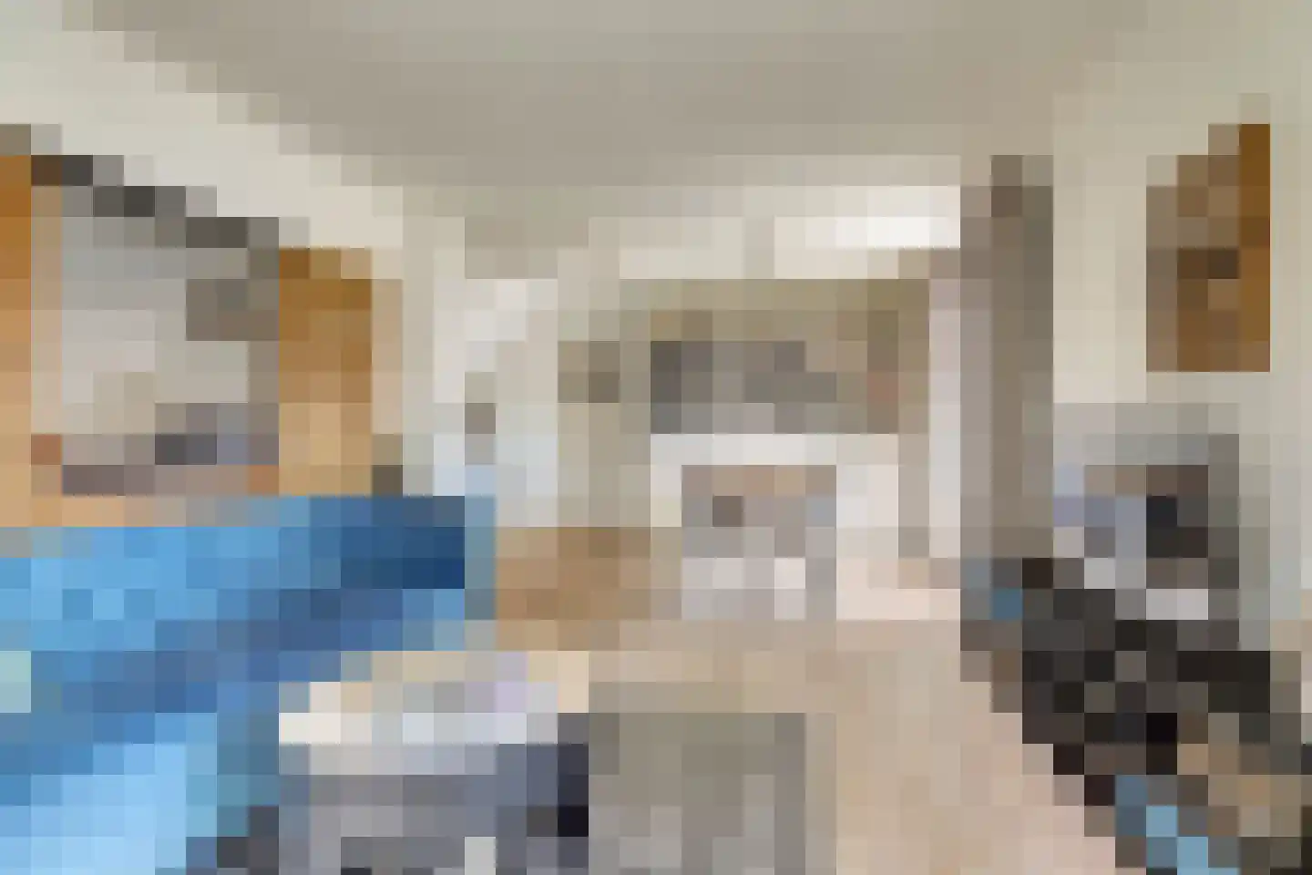 Bandsloot 25 Bantega thumbnail 32